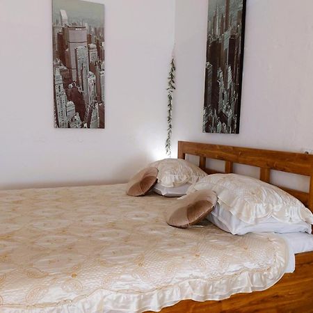 Exkluzivni Apartman V Prizemi V Hradci Kralove Hradec Kralove Ngoại thất bức ảnh