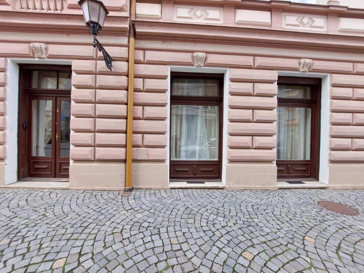 Exkluzivni Apartman V Prizemi V Hradci Kralove Hradec Kralove Ngoại thất bức ảnh